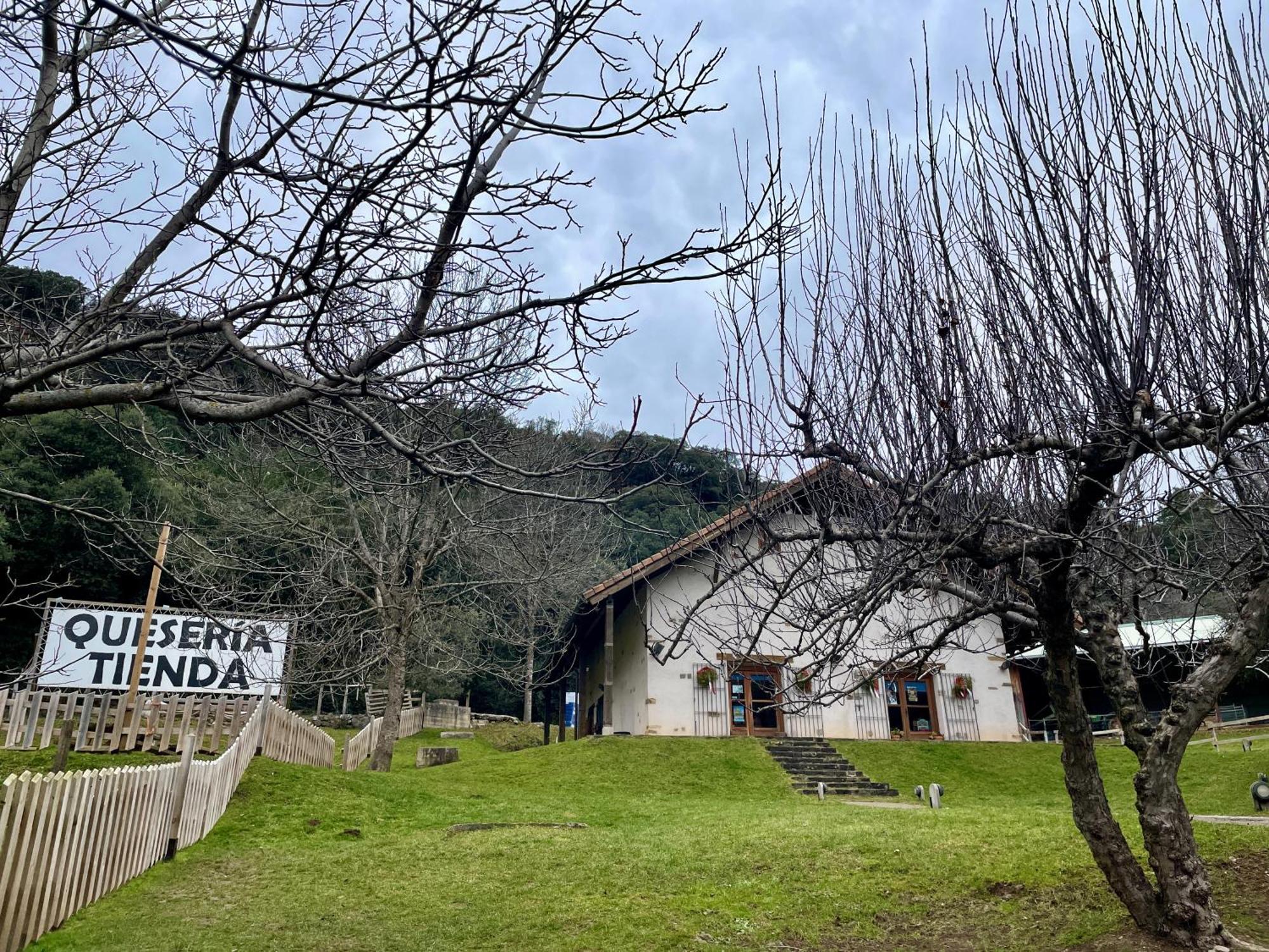 Calmfranc Atico Abuhardillado Con Vistas Al Rio Y La Montana Avistamiento De Ciervos En Canfranc Pueblo Exterior foto