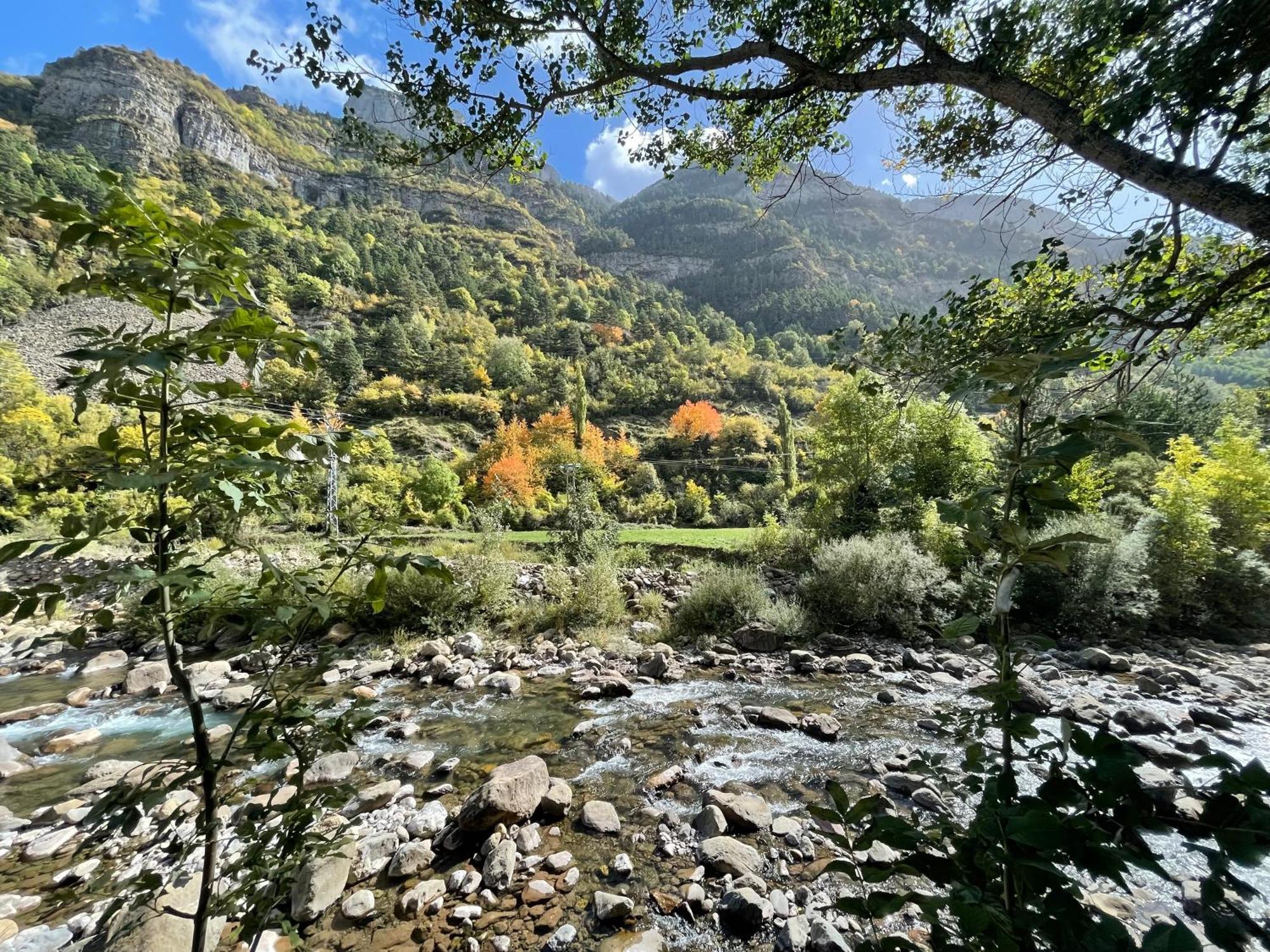 Calmfranc Atico Abuhardillado Con Vistas Al Rio Y La Montana Avistamiento De Ciervos En Canfranc Pueblo Exterior foto