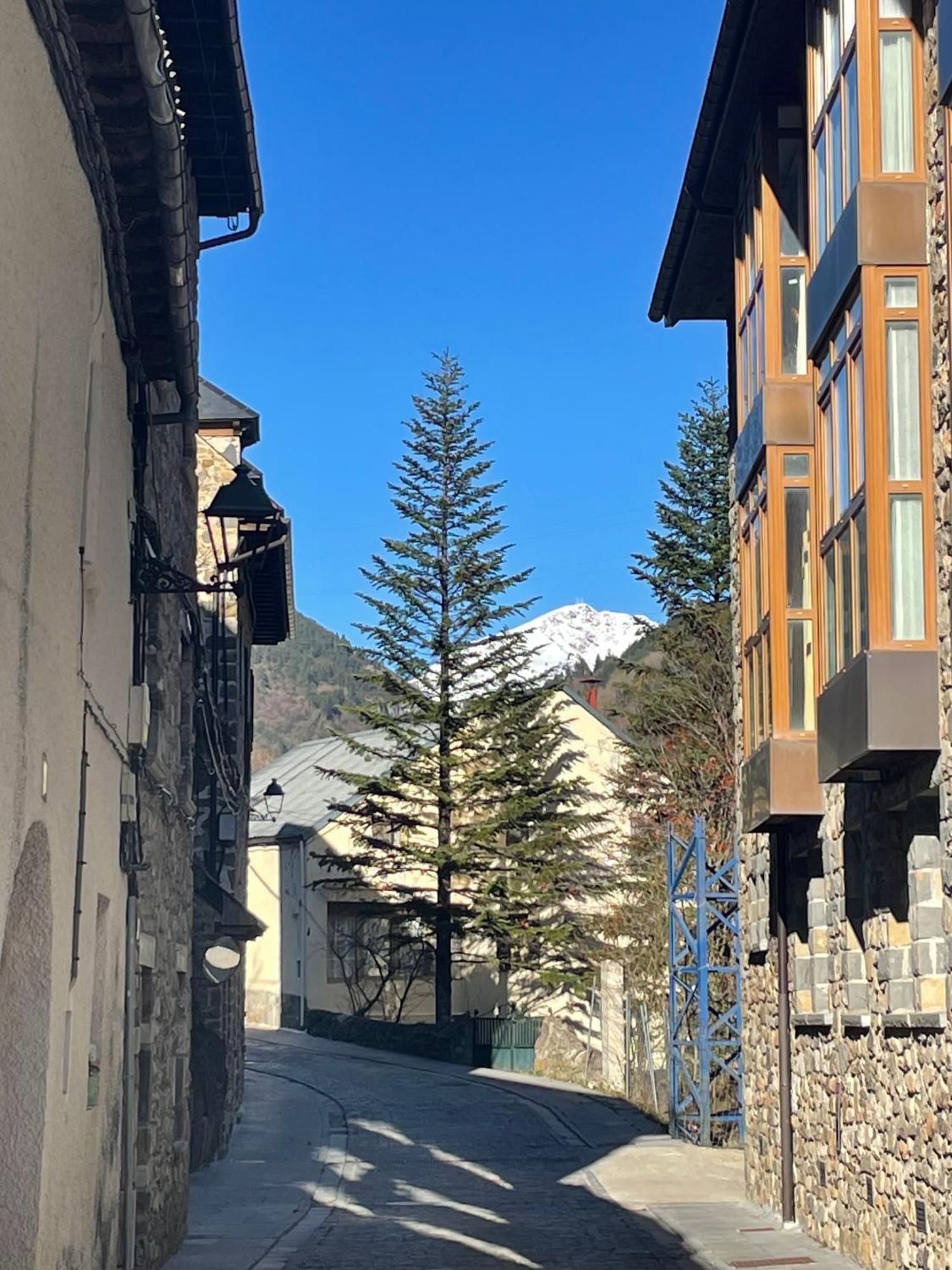 Calmfranc Atico Abuhardillado Con Vistas Al Rio Y La Montana Avistamiento De Ciervos En Canfranc Pueblo Exterior foto